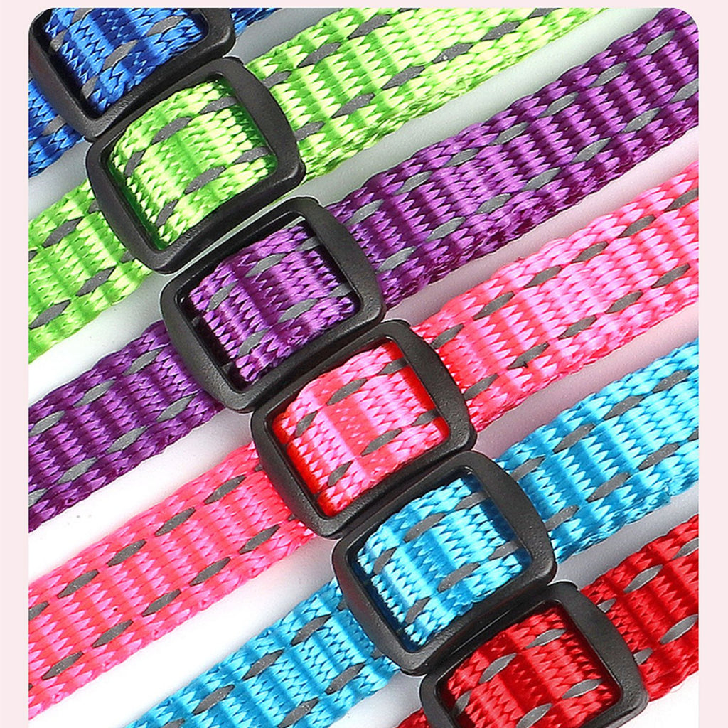 Collier de collier de chat antidérapant gravé