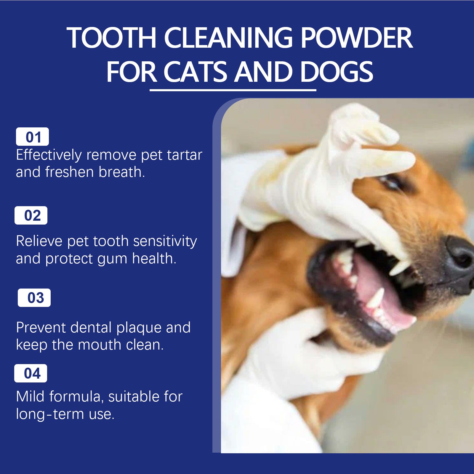 Poudre de nettoyage des dents des animaux de compagnie