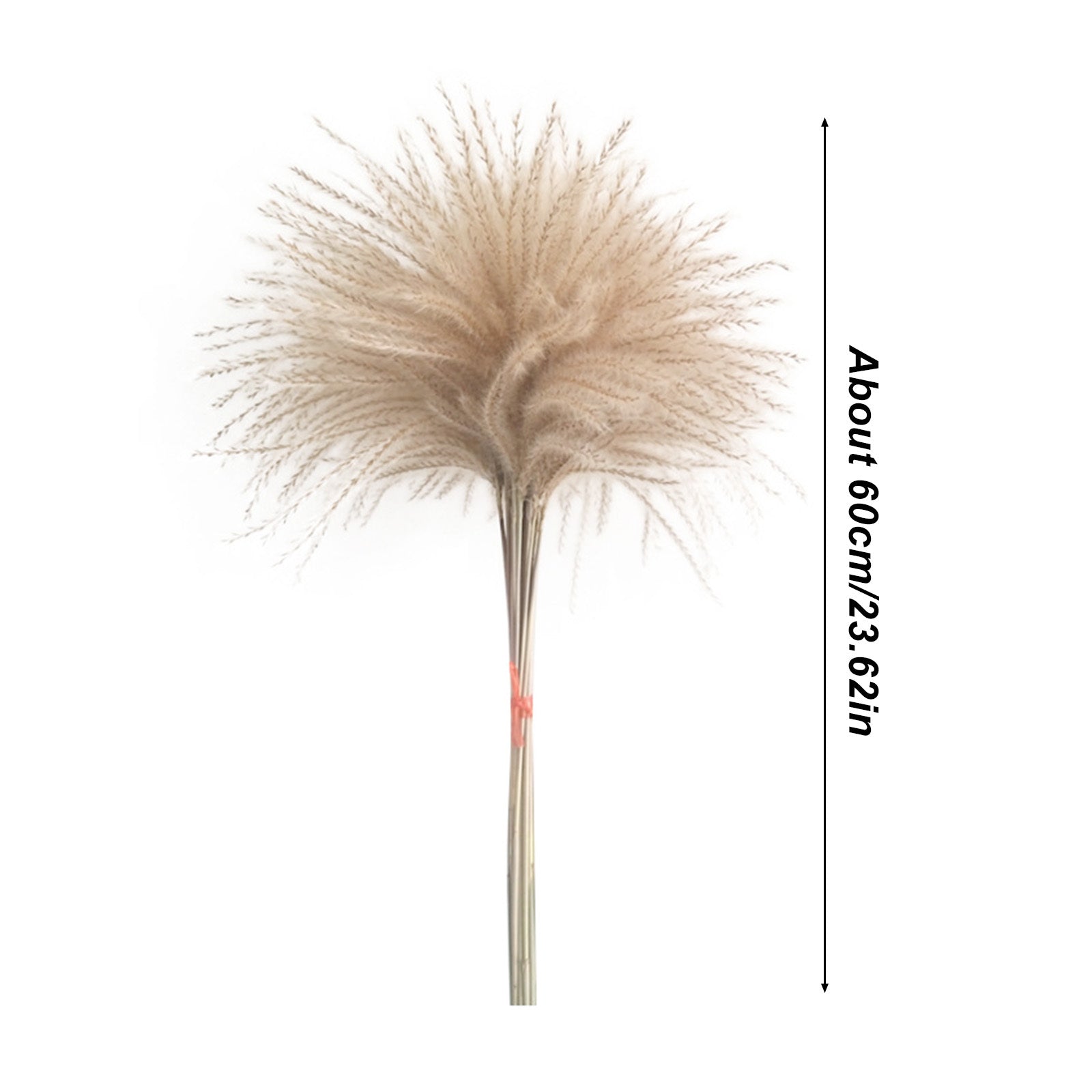 Set de décor d'herbe séchée de 20 pièces - Bouquet de fleurs séchées naturelles pour vases - Country-Sty