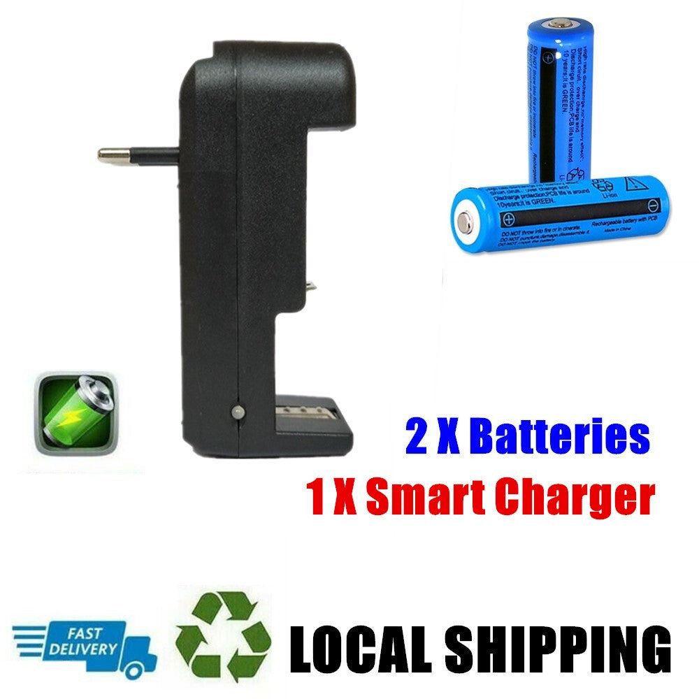 Chargeur de batterie avec batteries Li-ion 18650 3.7V 3000 mAh