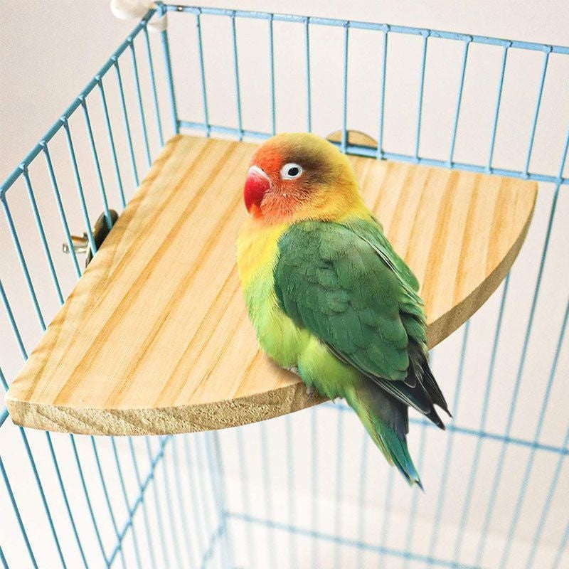 Escalade et jeu Bird Cage Accessoires Toy Solid Wood Jumping Platform Standing Board