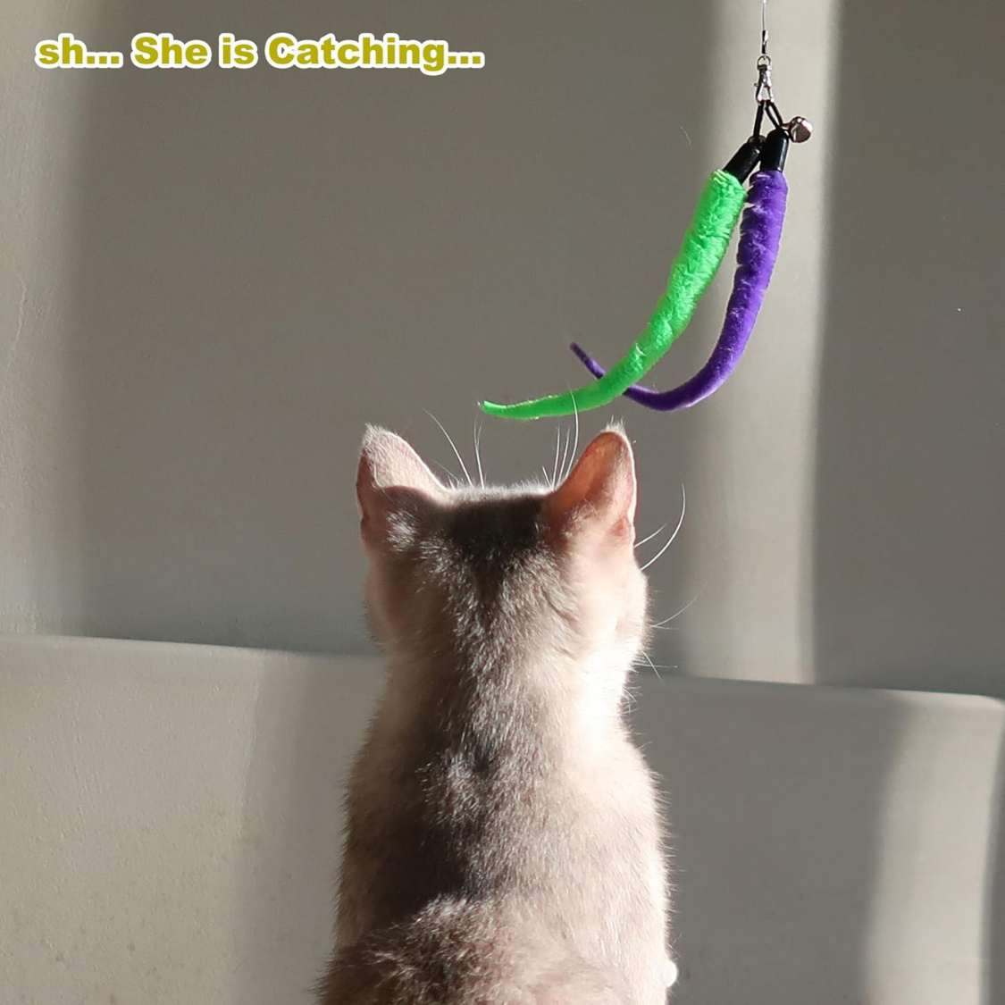 Jouets pour chats d'intérieur