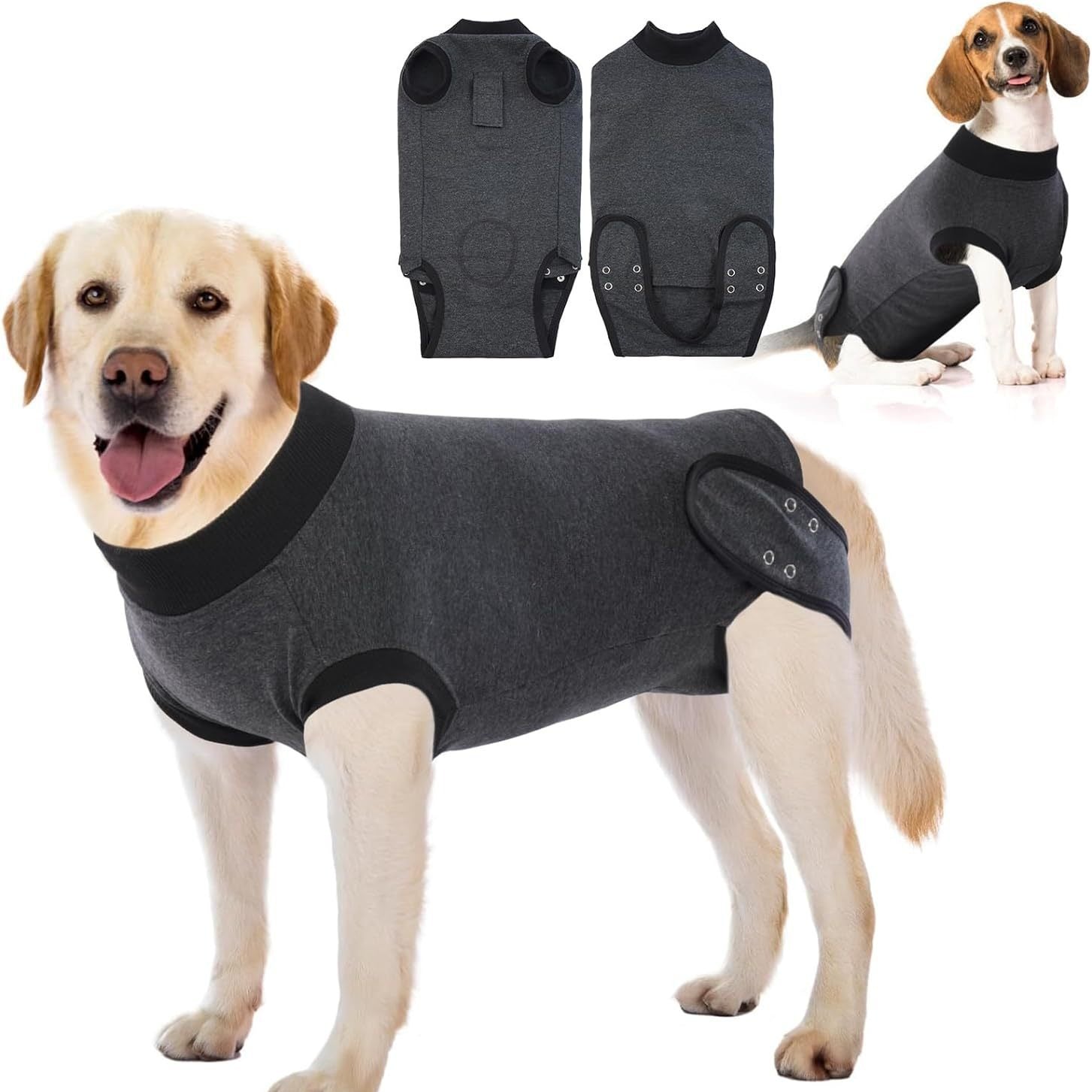 Costume de récupération de chien pour Neuter Spay