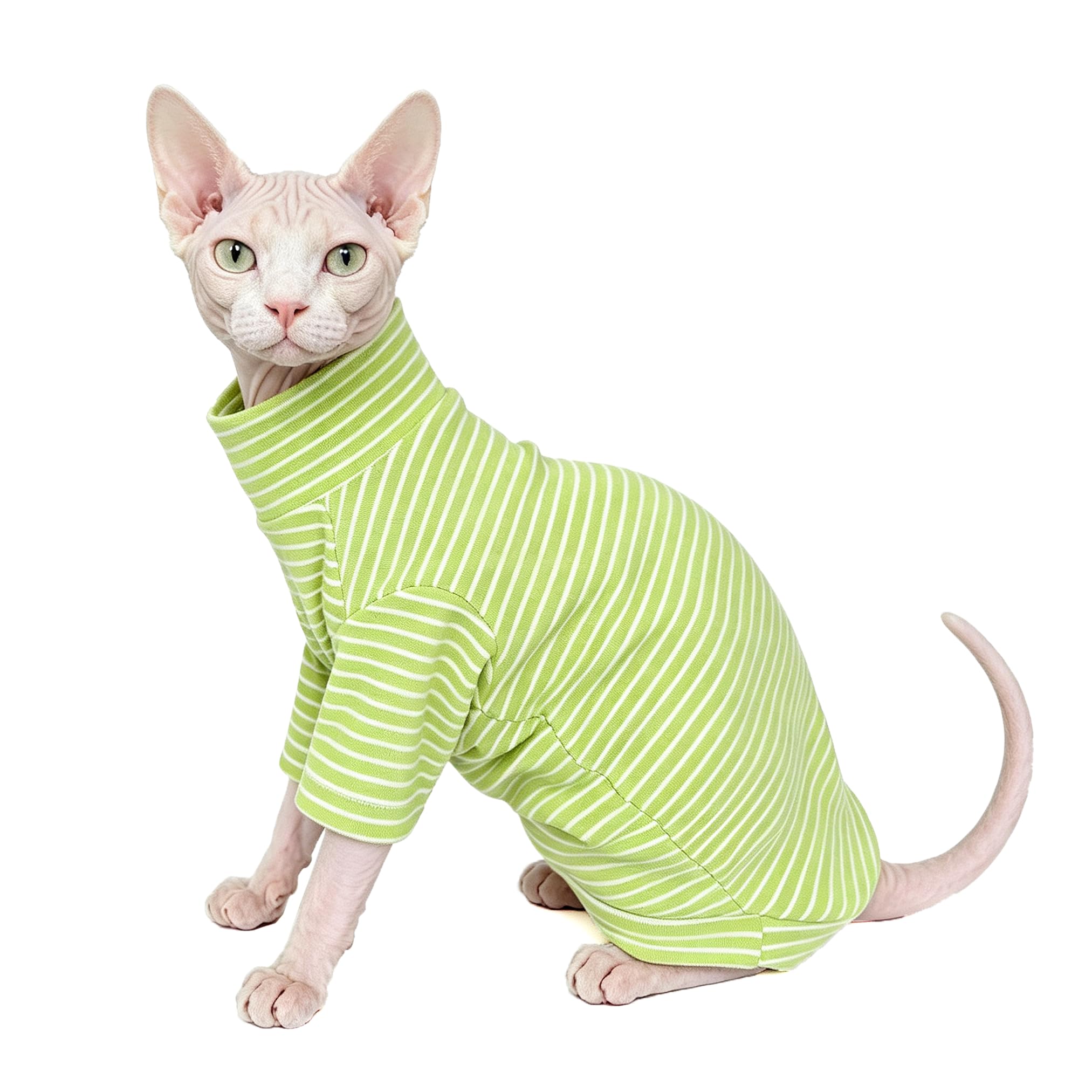 Vêtements de chat pour chats uniquement