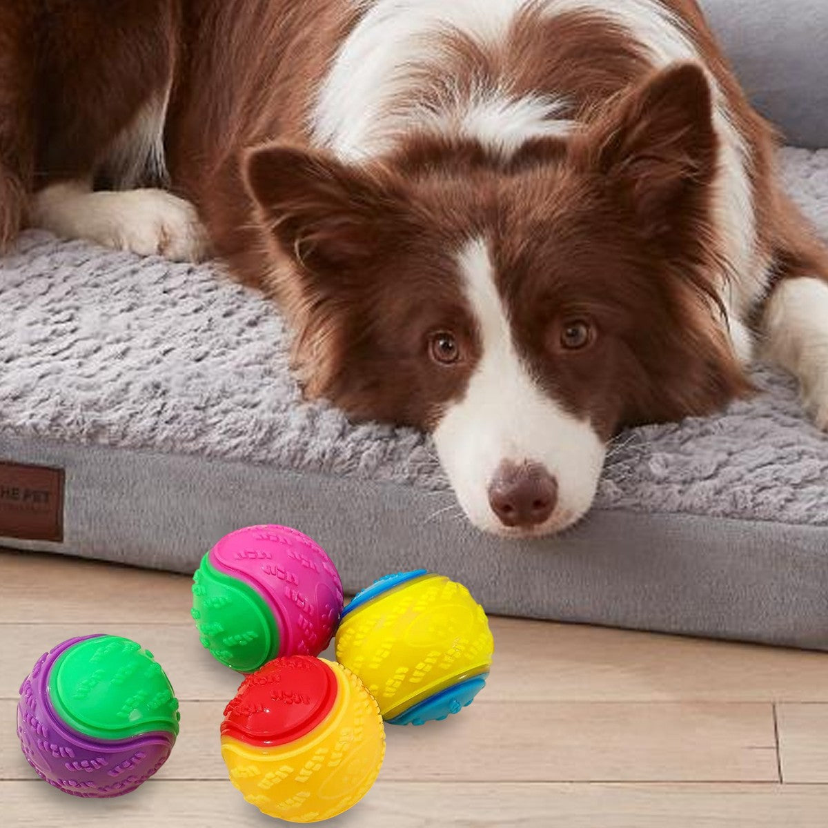 8X Scooby-Doo Squeaky Durable Set boules de chien pour le nettoyage des dents interactif