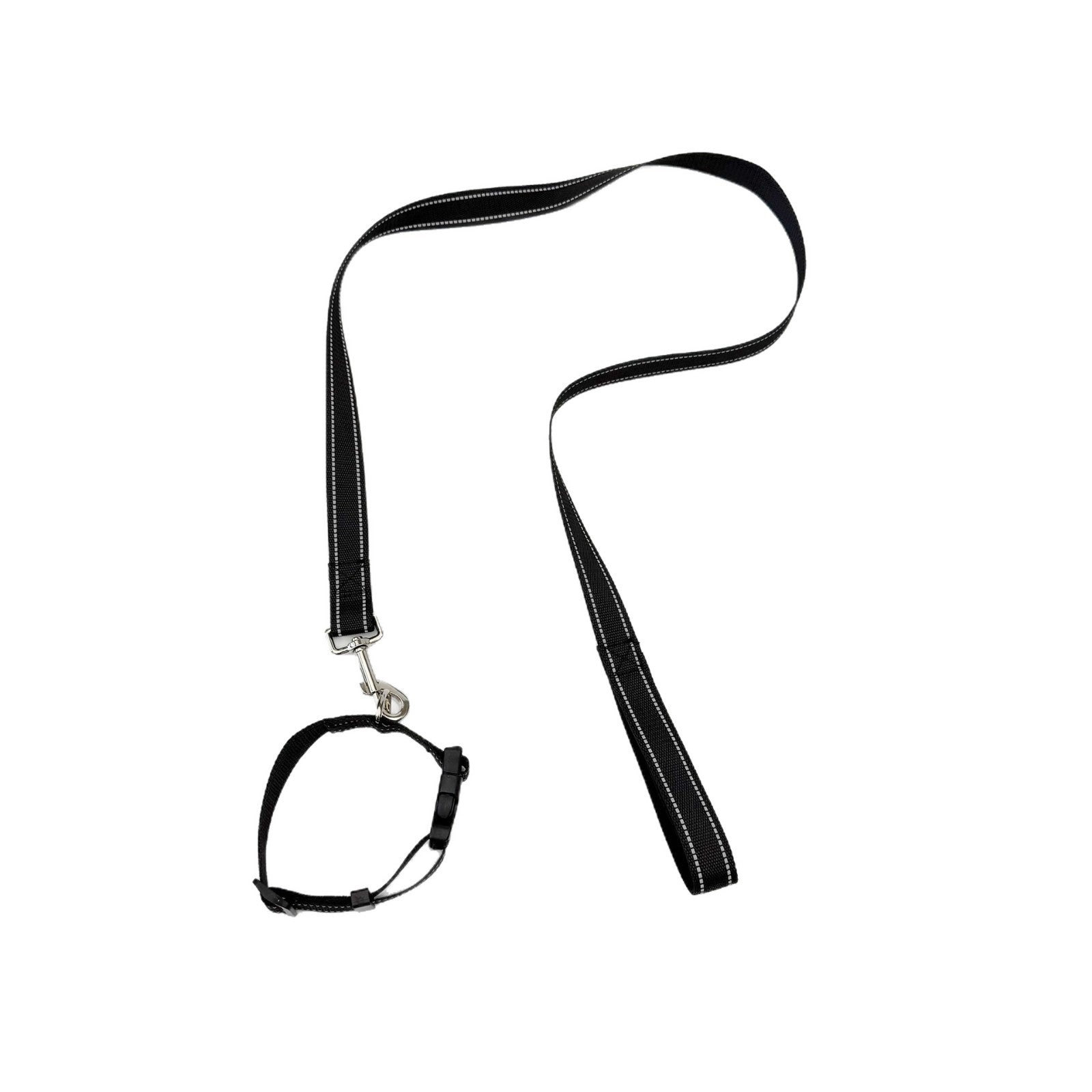 Ensemble de colliers pour animaux de compagnie