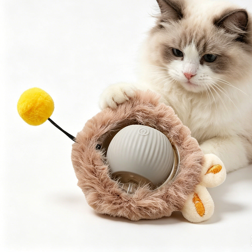 Jouet électrique de boule de chat de chien