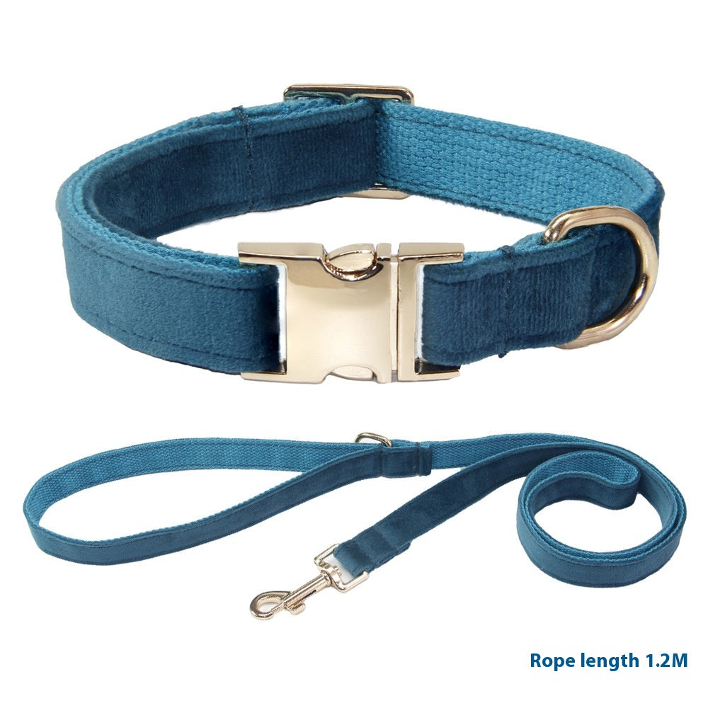 Collier de chien avec des lettres gravées