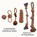 Jouets de corde de chien couleur arc-en-ciel de 6pc