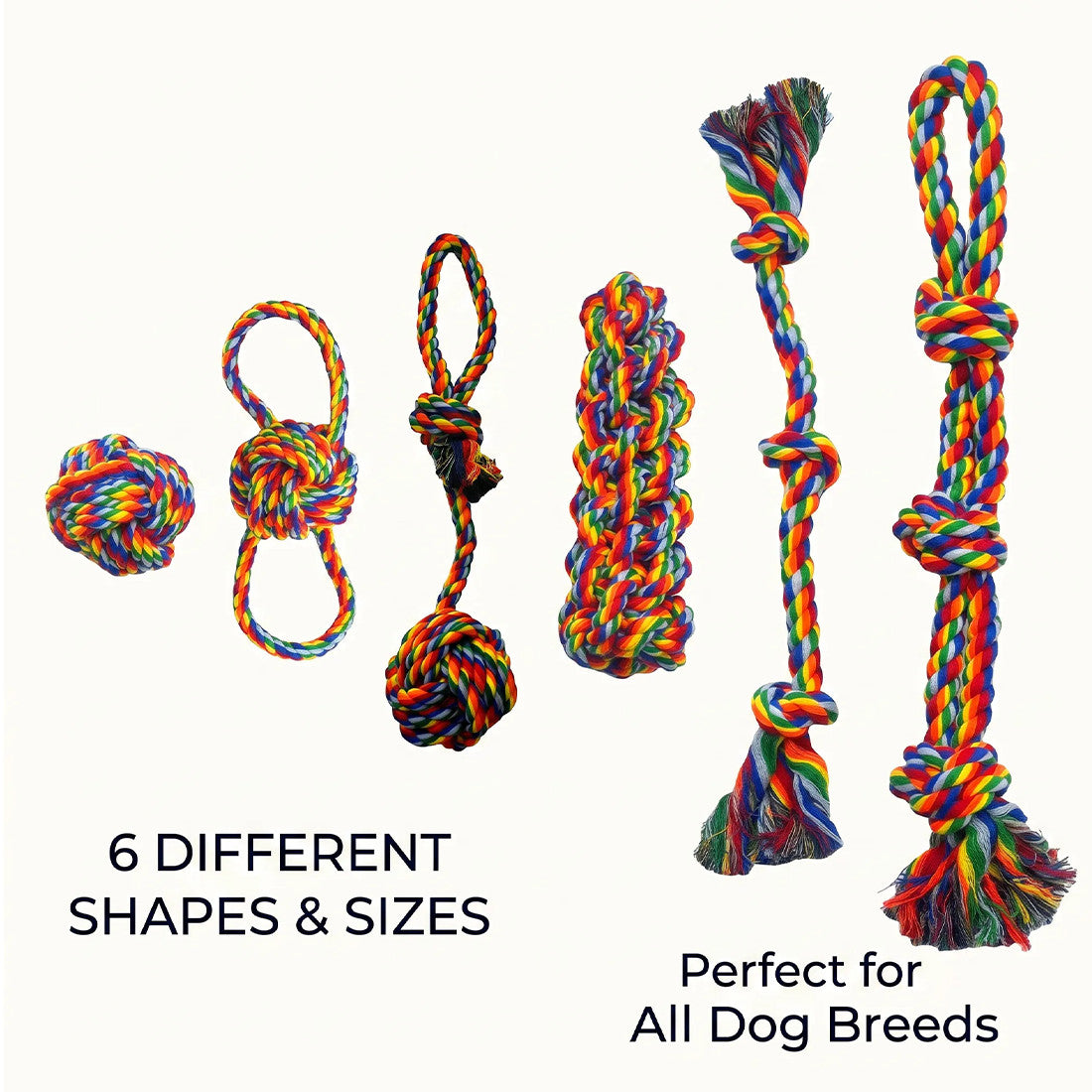 Jouets de corde de chien couleur arc-en-ciel de 6pc