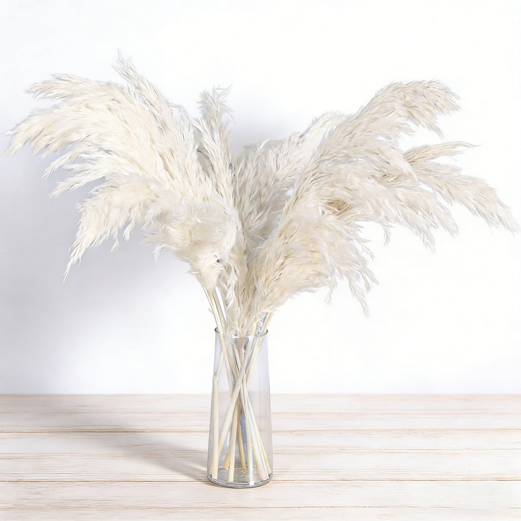 20 Pampas beige décor d'herbe