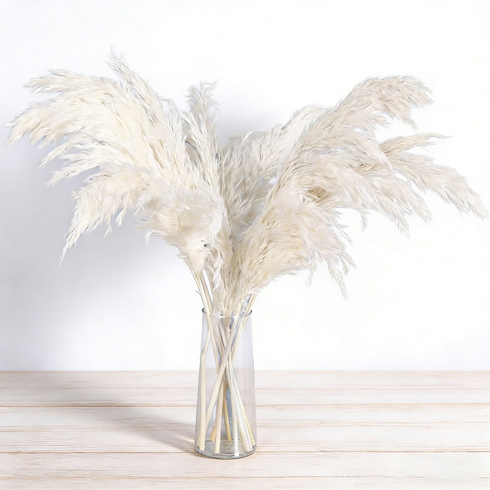 20 Pampas beige décor d'herbe