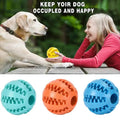 Balle interactive de traitement des chiens