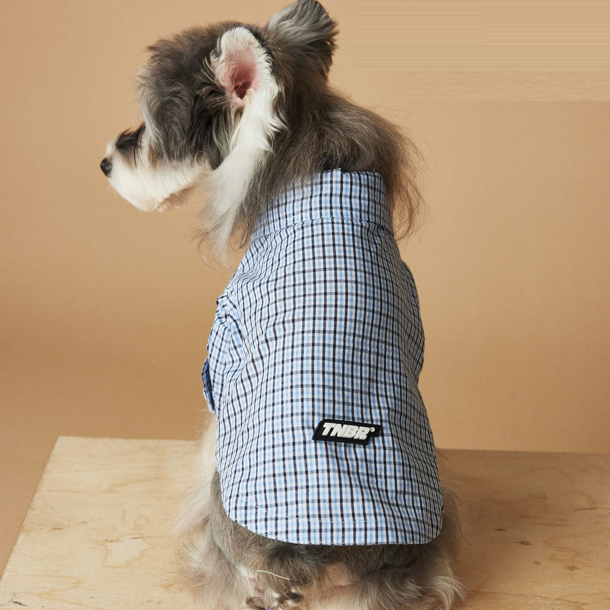 Vêtements de chien Été Petite chemise en Plaid
