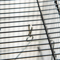 Cage d'oiseau intérieur en métal de 45 pouces