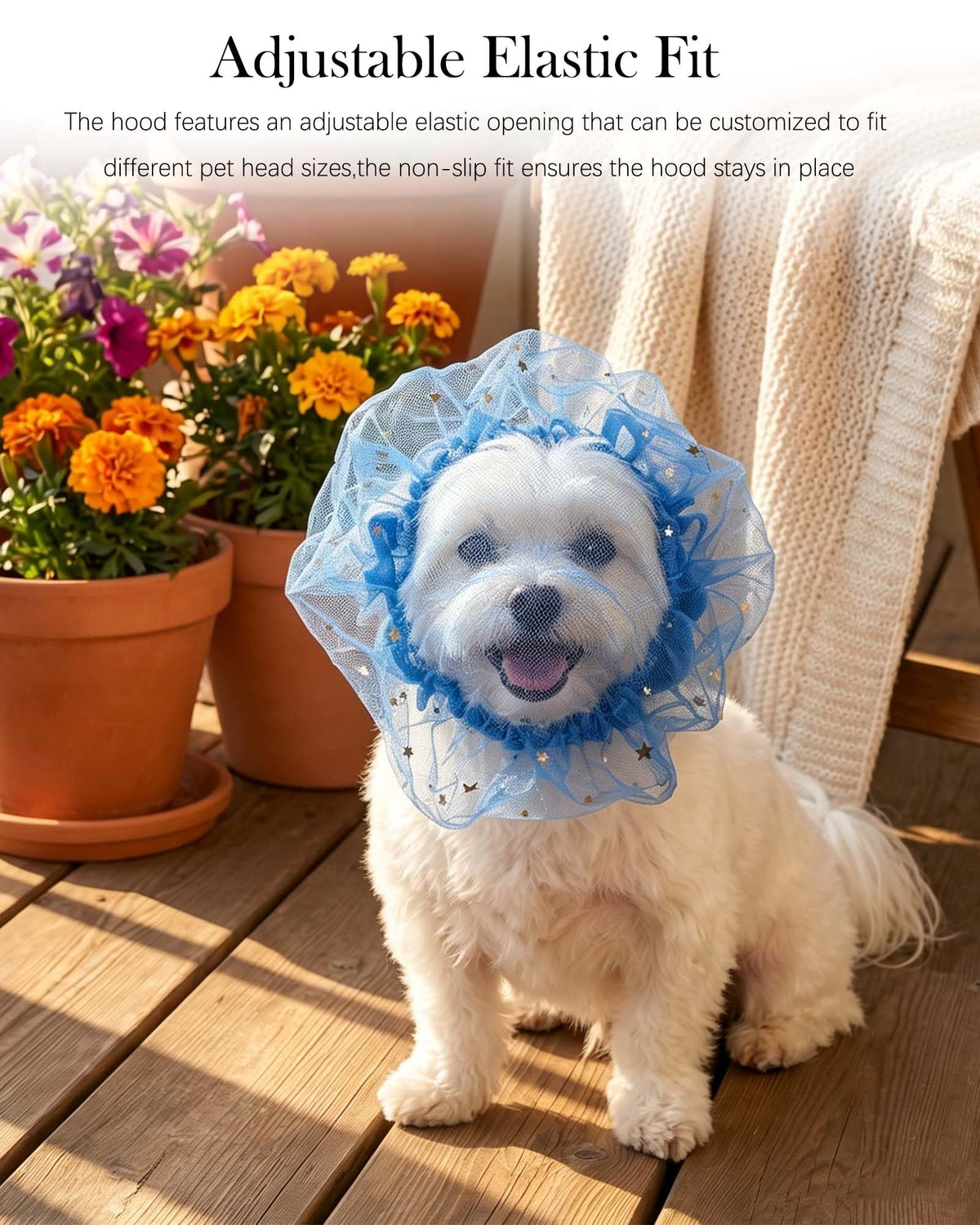 8 Pack Hood Anti-Lick pour chien