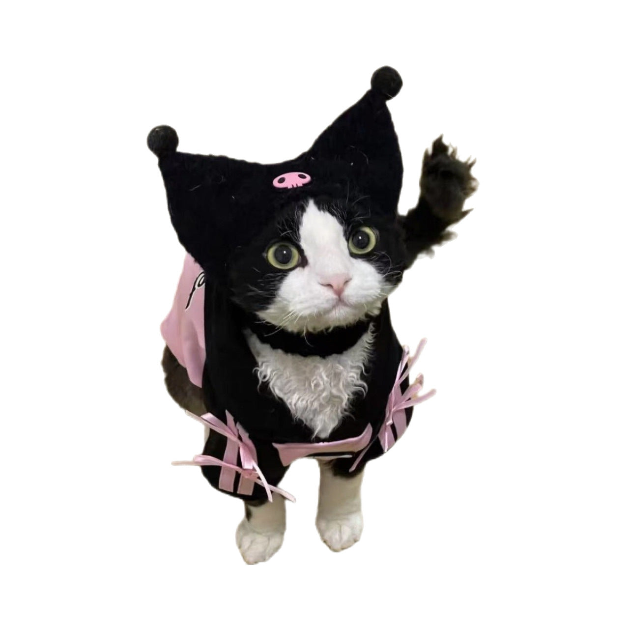 Coupe universelle de coton d'hiver de style allemand pour animaux de compagnie et chats