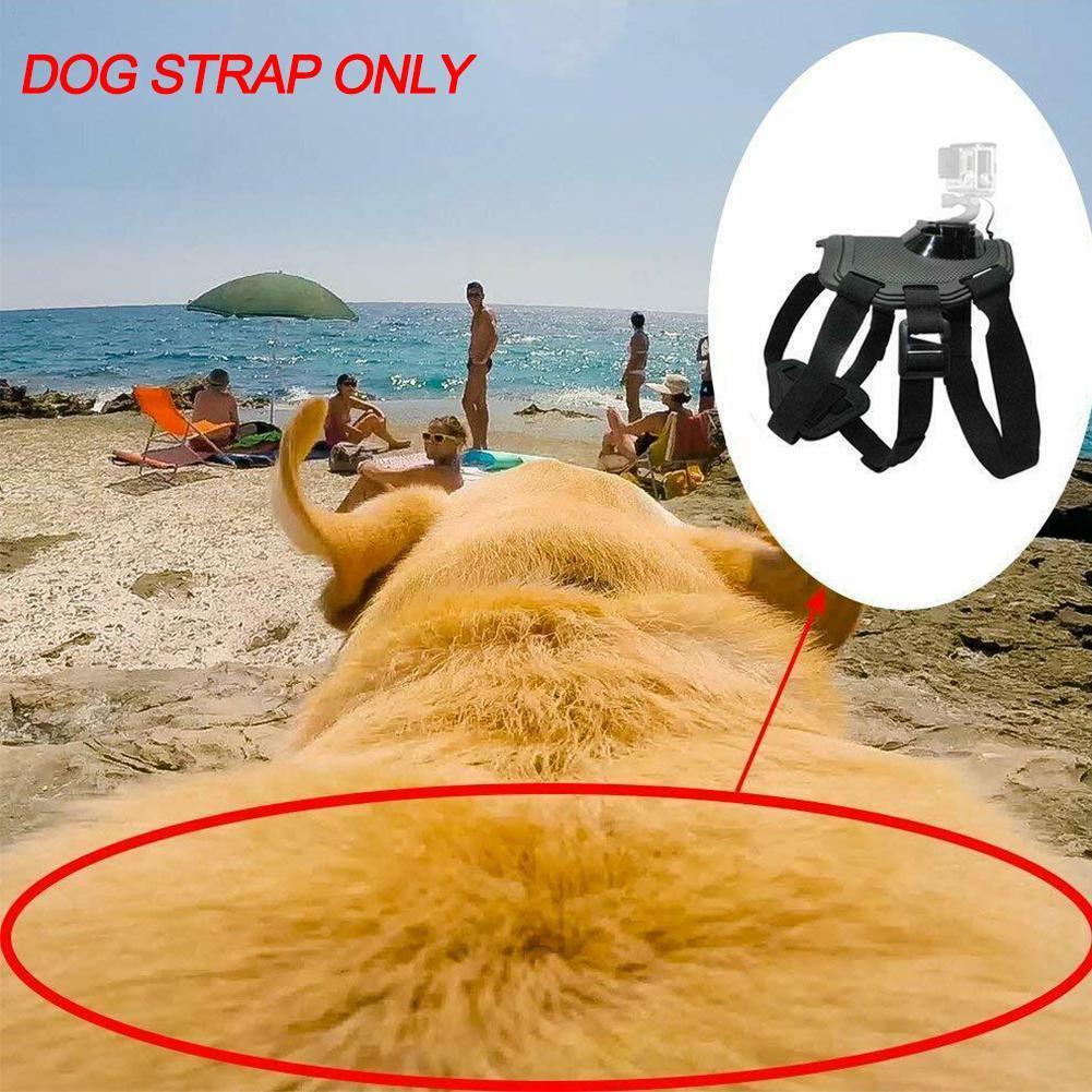 Harnais de chien Strap caméra accessoire pour dualuse dos sur poitrine