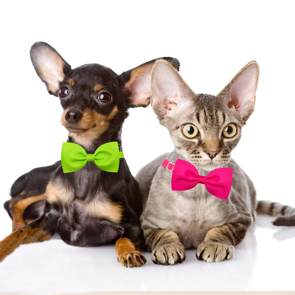 Tie Bow Tie réglable Bow pour chats et chiens en stock