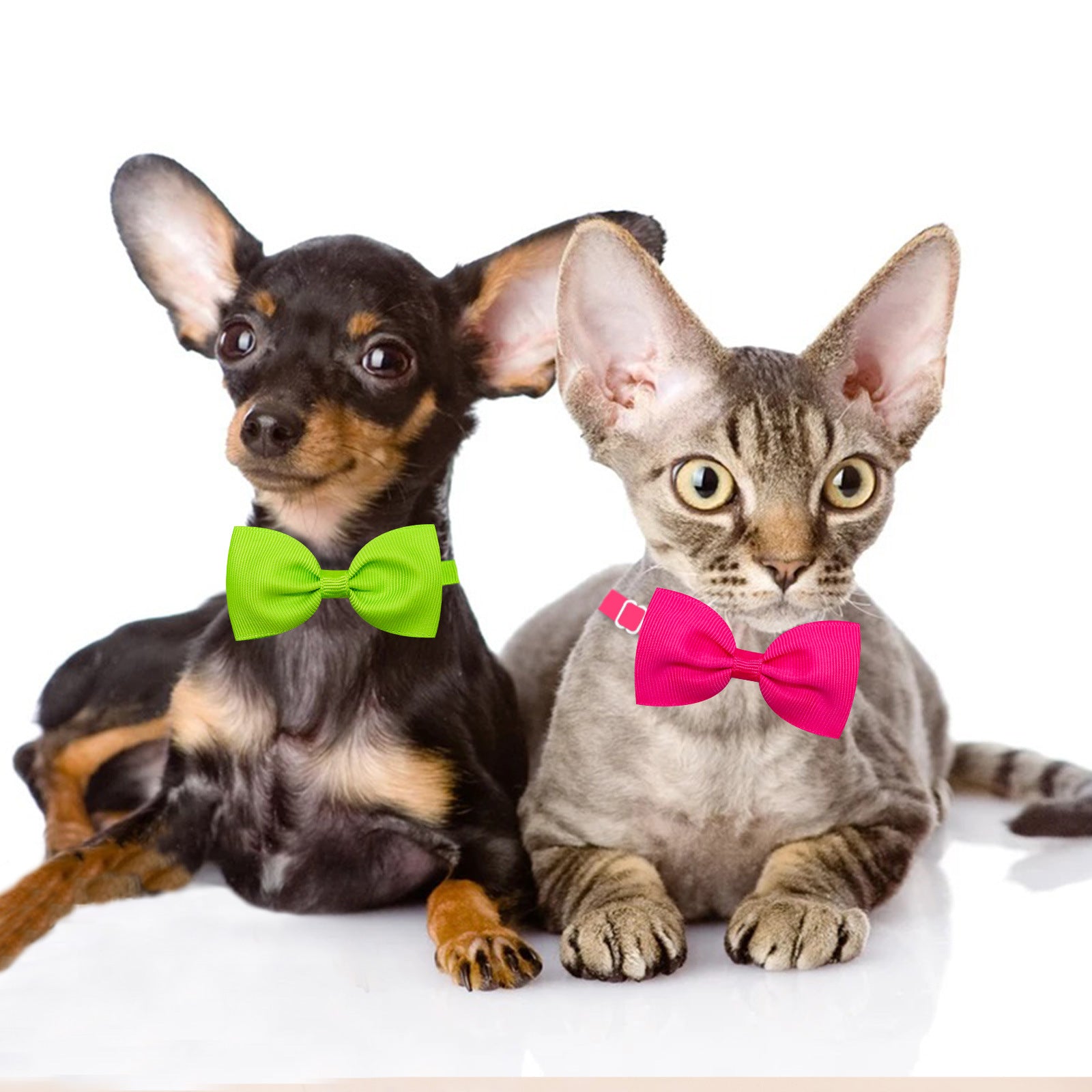 Tie Bow Tie réglable Bow pour chats et chiens en stock