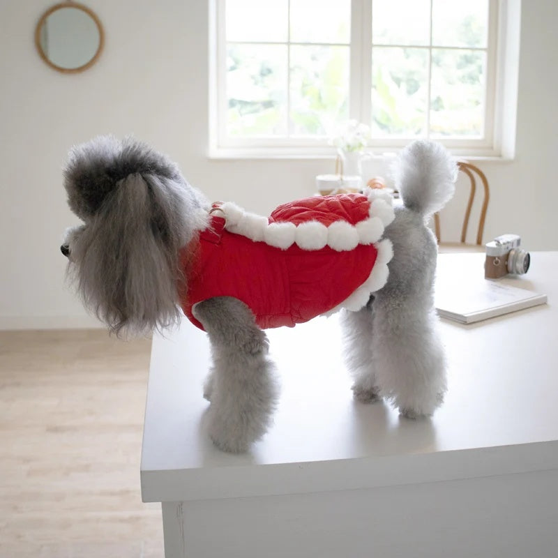 Animaux de compagnie Automne et hiver épaississant collier de fourrure rouge noeud chinois année vêtements