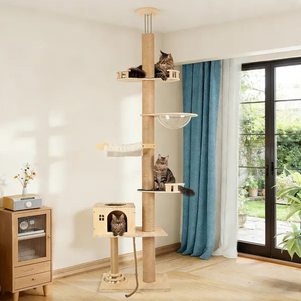 Plancher au plafond Arbre de chat
