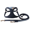 Patchwork de denim bleu foncé Plaid Pet Harness Set