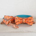 Fournitures pour animaux de compagnie en collier de cerise