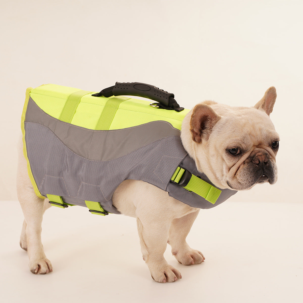 Maillot de bain de chien réfléchissant Veste de vie