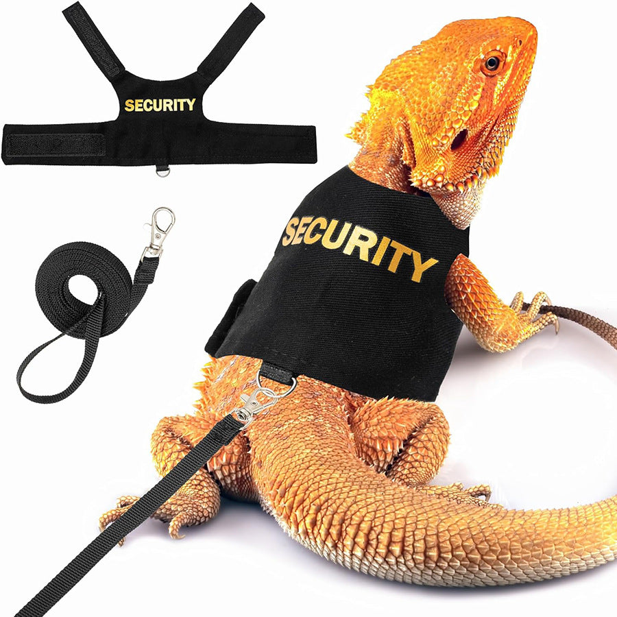 Lézard Leash Reptile Extérieur Poitrine et Harnais de dos