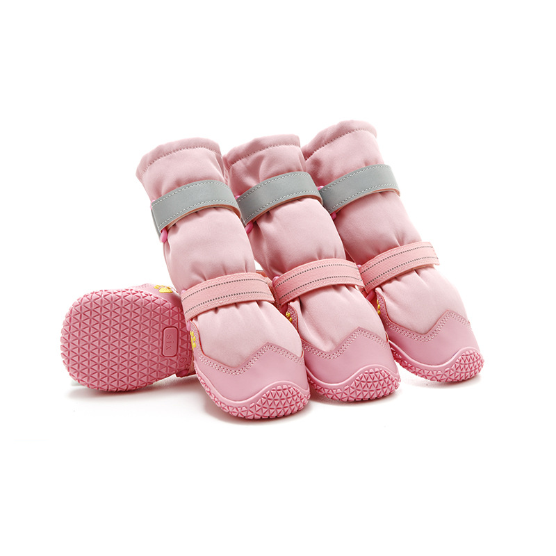 Chaussures pour chiens