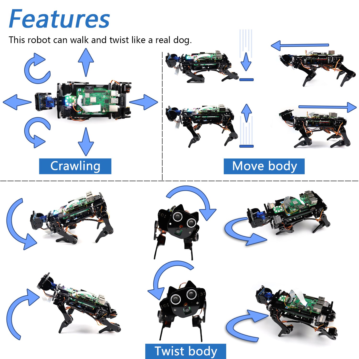 Raspberry Pi Robot Dog Reconnaissance du visage