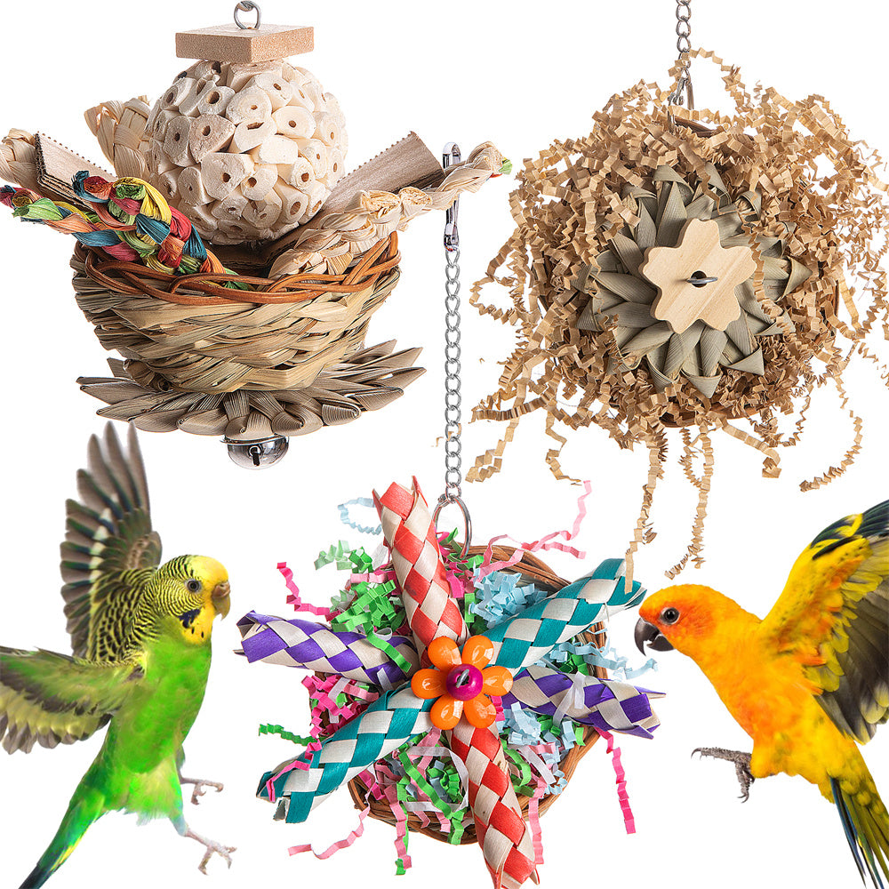 Accessoires de jouets pour oiseaux de perroquet