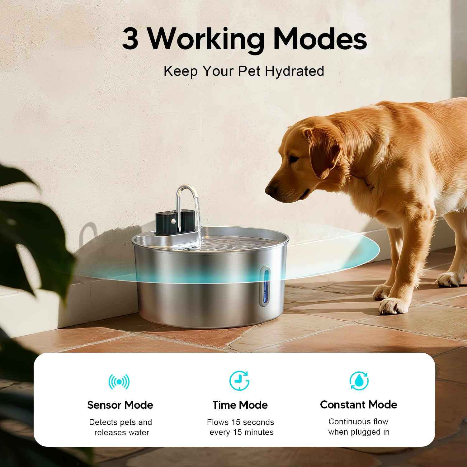 7L Distributeur d'eau pour chiens