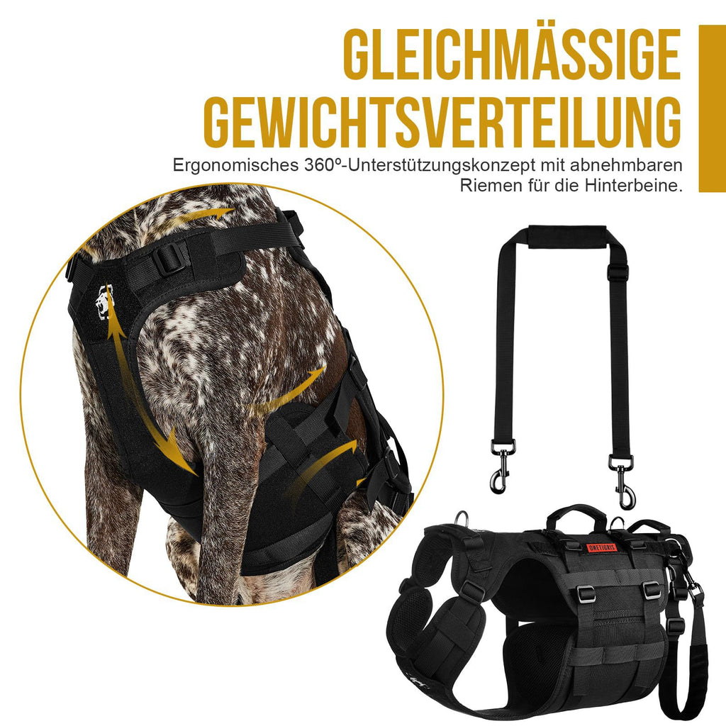 Harnais de chien extérieur tactique Vest