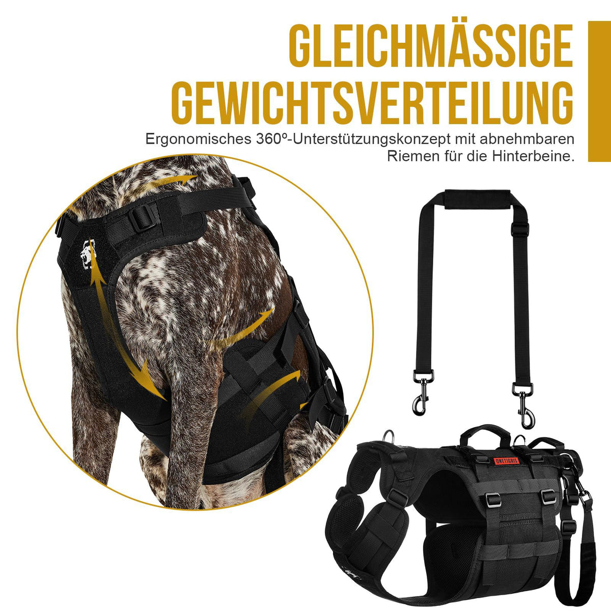 Harnais de chien extérieur tactique Vest
