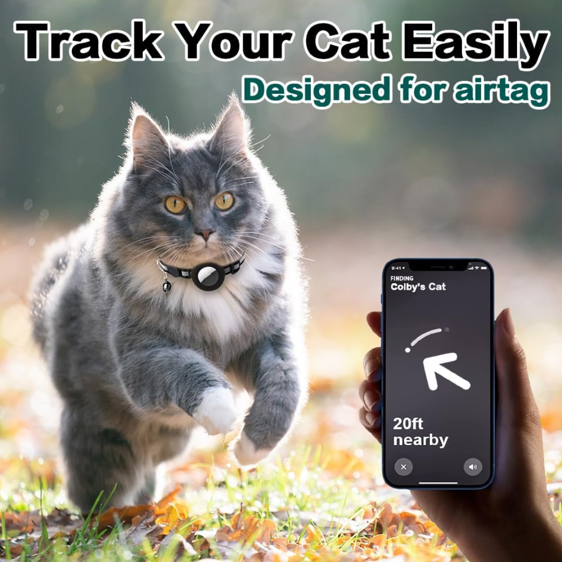 Cat collar fracture