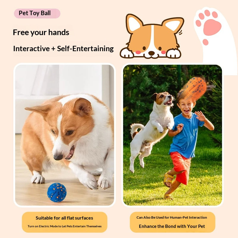 Jouet de chien de balle à roulettes