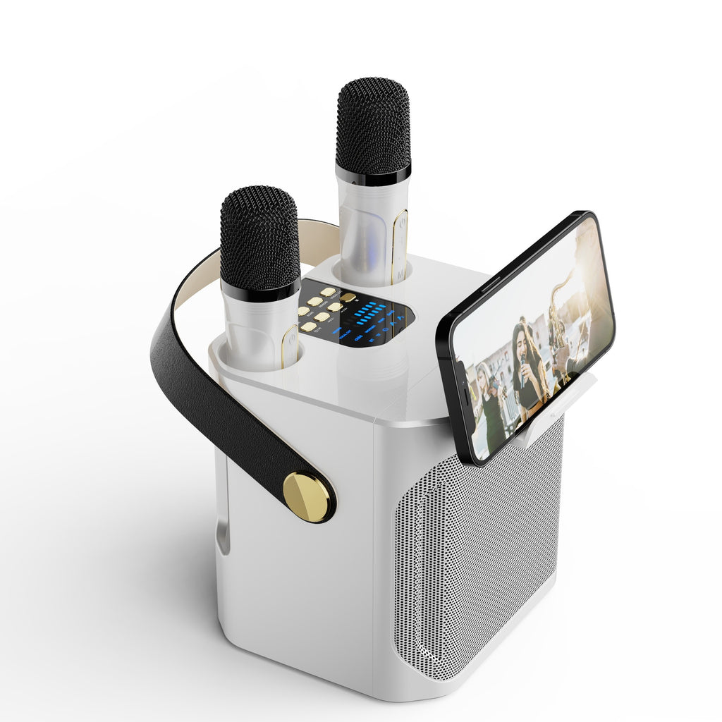 Haut-parleur Bluetooth Outdoor Karaoke Large Volume Accueil Microphone double avec Microphone Karaok
