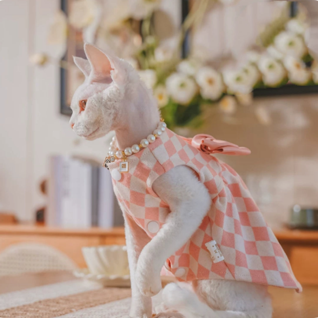 Sans cheveux Cat Devon Cat Kitten Vêtements British Style Robe