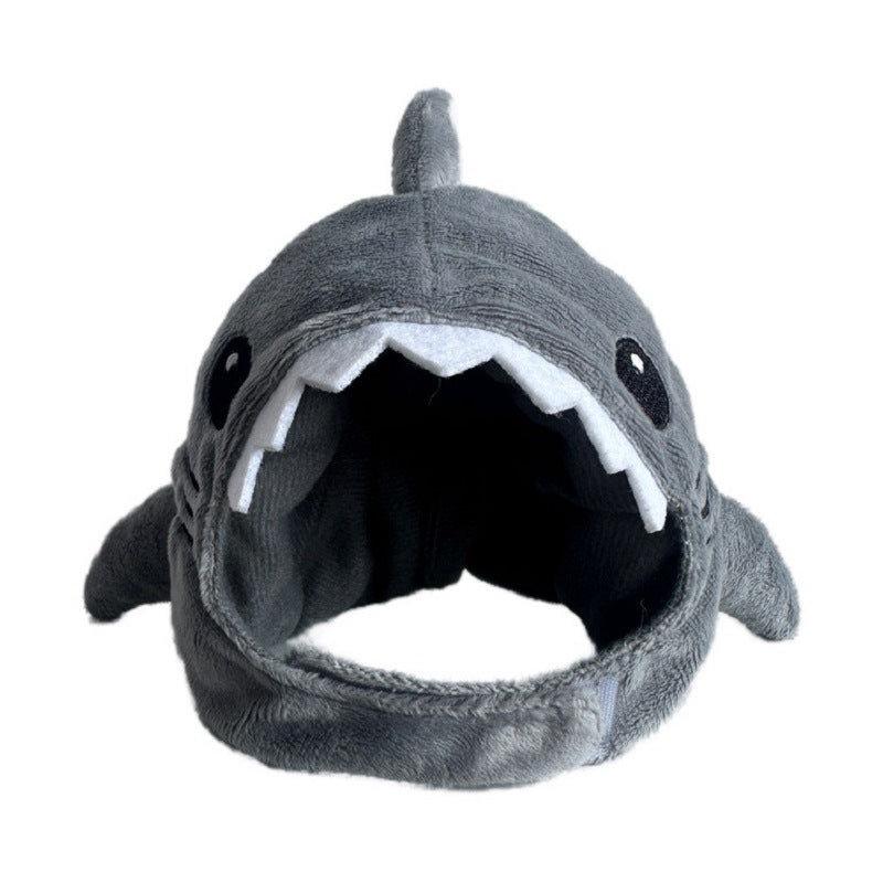 Tête de requin-chat chaud