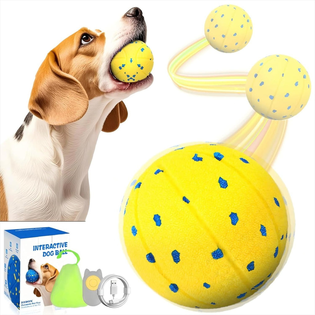 Jouet interactif pour chien avec 3 modes de jeu