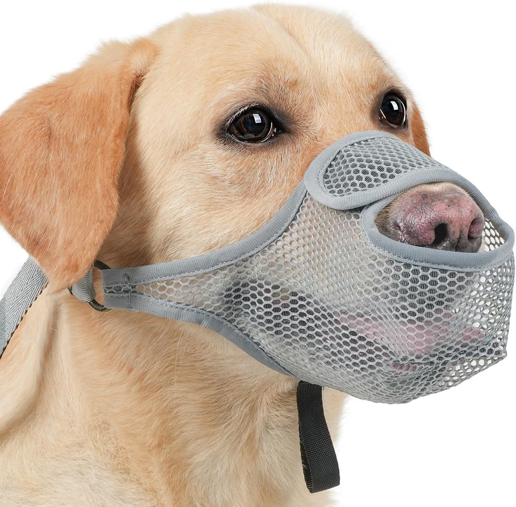 Muselière ajustable pour chien de compagnie qui permet de boire tout en prévenant les piqûres et les câlins
