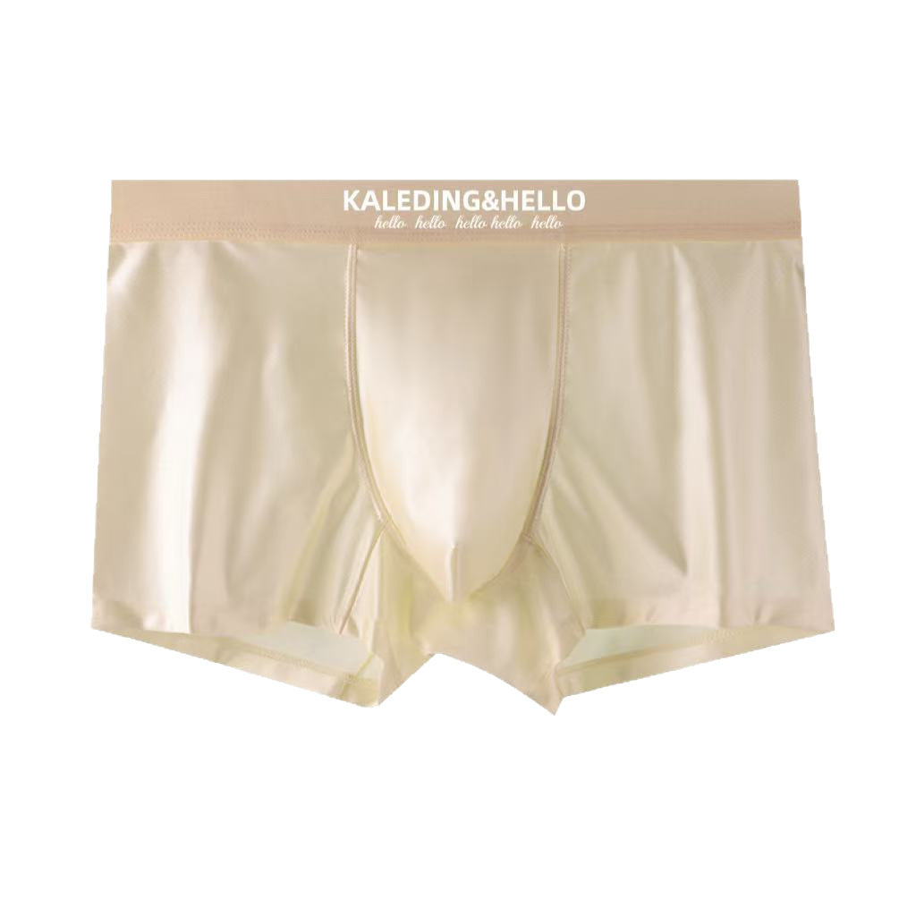 Satin Ice Silk Hommes Sous-vêtements