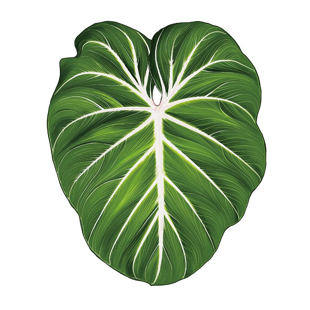 Magic plants tropical plants Creative Greenery Refrigerator Magnets