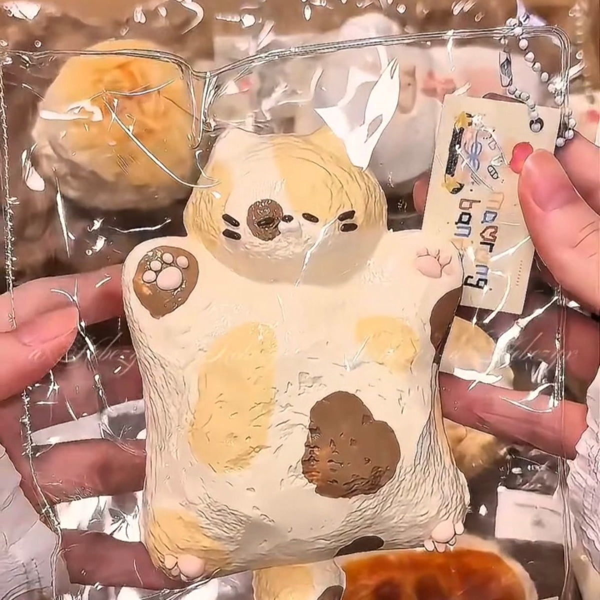 The same three Tabby Cat colors as on Xiaohongshu