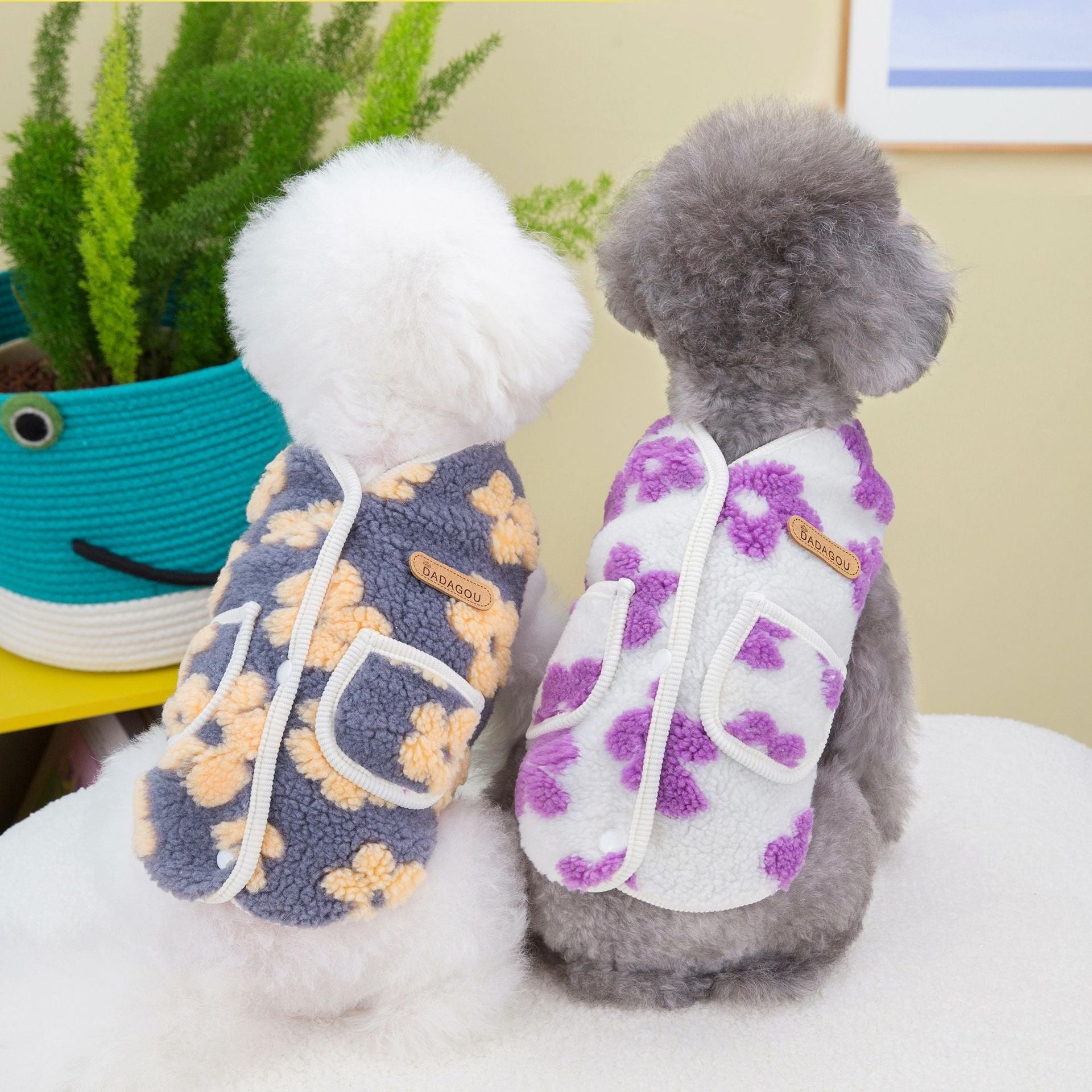 Vêtements de chat pour animaux d'hiver en velours de fleur de cinq-pieds