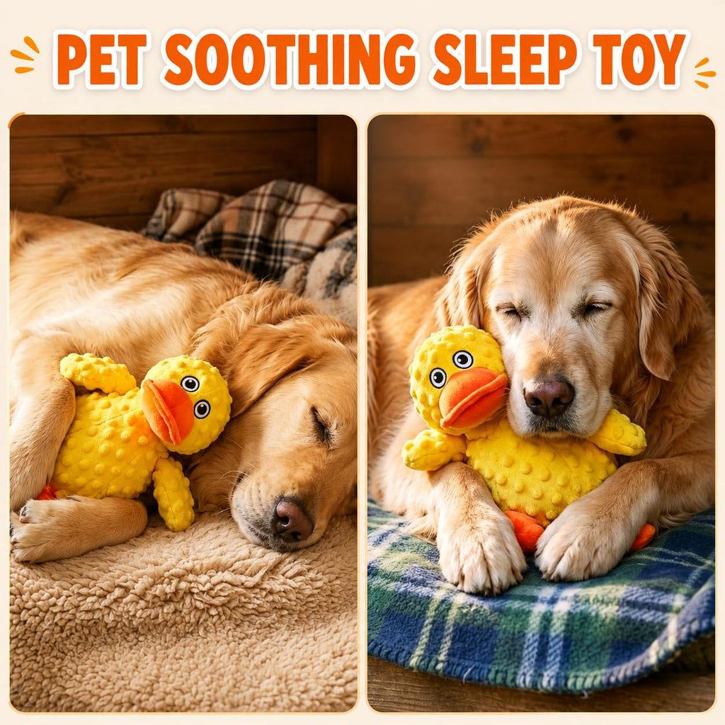 Jouet de chien en peluche durable