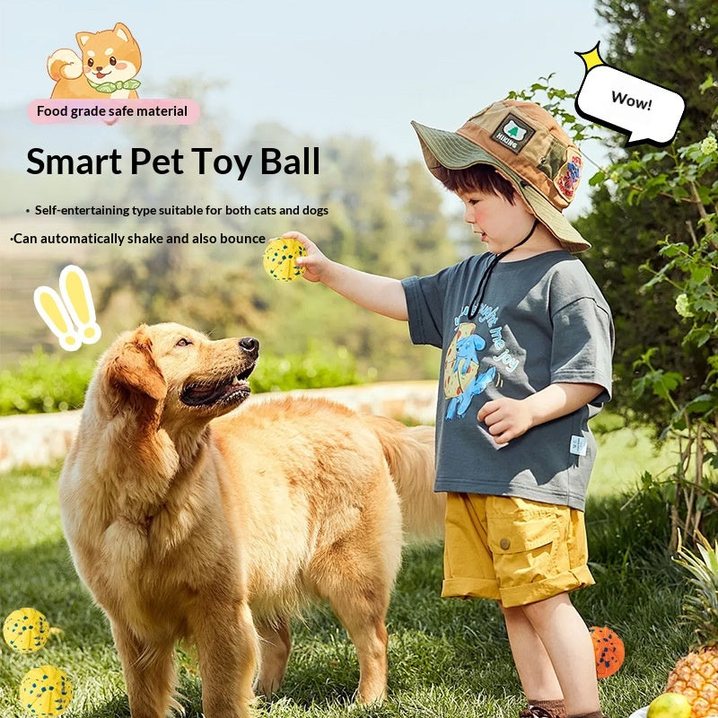 Jouet de chien de balle à roulettes