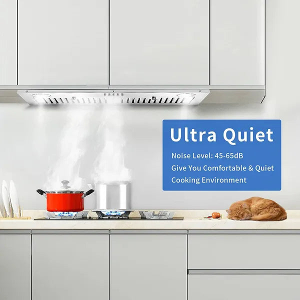 Range Hood Insert 30 pouces